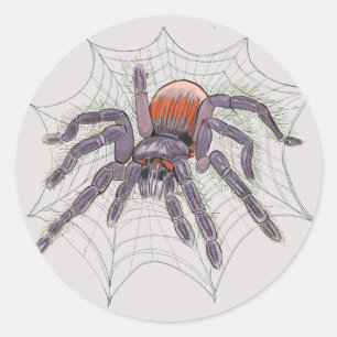 Pegatina Redonda Halloween Spider Creepy Fun
