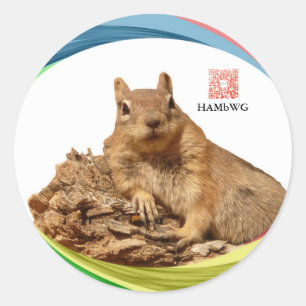 Pegatina Redonda HAMbWG -Pegatina - Colores de logotipos de ardilla