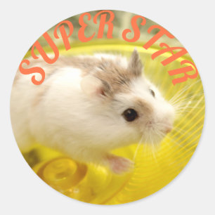 Pegatina Redonda Hammyville - Estrella Super Hamster Cute