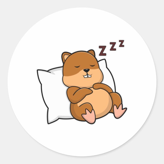 Pegatina Redonda Hamster con almohada (Anverso)