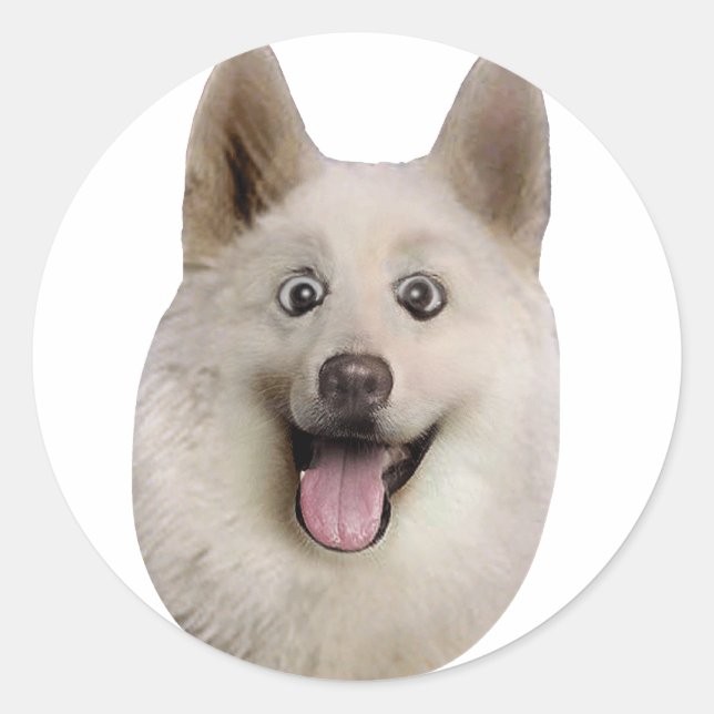 Pegatina Redonda Happy_Dog_Mult_Products (Anverso)