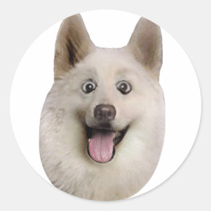 Pegatina Redonda Happy_Dog_Mult_Products