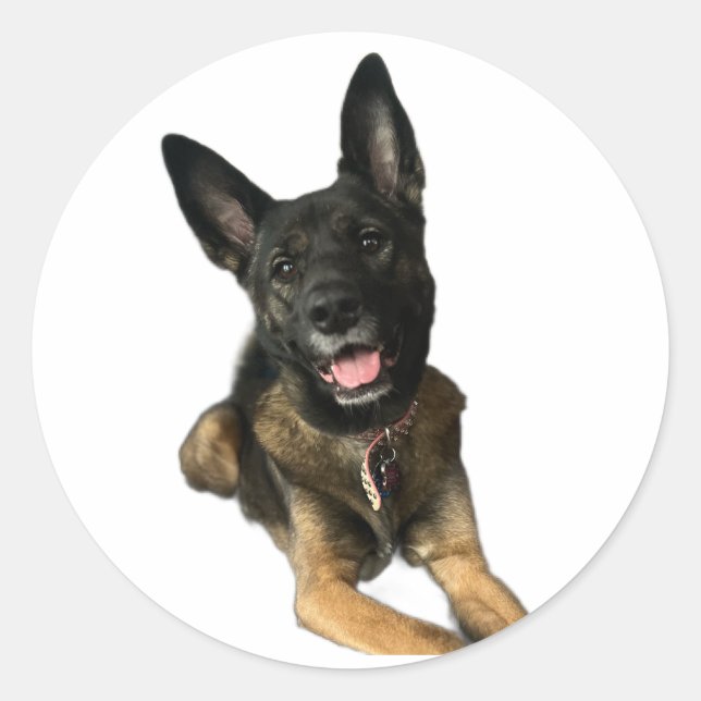 Pegatina Redonda Happy German Shepard style dog sticker (Anverso)
