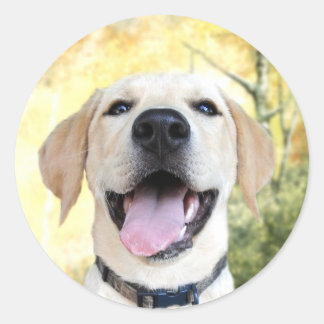 Pegatina Redonda Happy Yellow Lab
