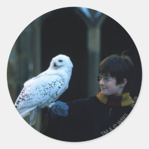 Pegatina Redonda Harry and Hedwig 2