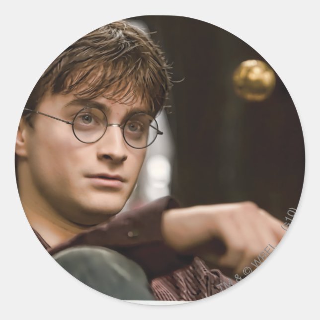 Pegatina Redonda Harry Potter 17 (Anverso)