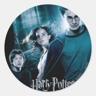 Pegatina Redonda Harry Potter Ron Hermione En Forest