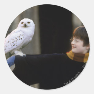 Pegatina Redonda Harry y Hedwig 3