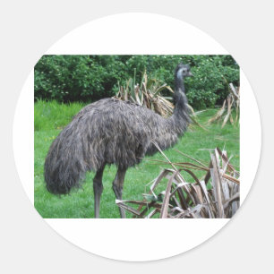 Pegatina Redonda Harvey