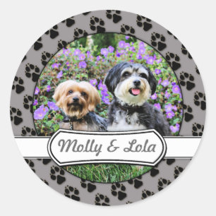 Pegatina Redonda Havanese - Lola & Yorkie - Molly