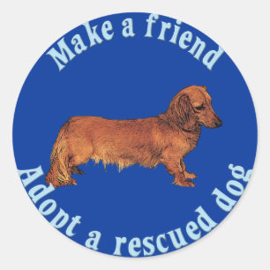 Pegatina Redonda Haz Un Amigo - Dachshund