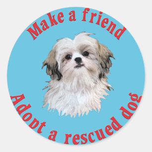 Pegatina Redonda Haz Un Amigo - Shih Tzu
