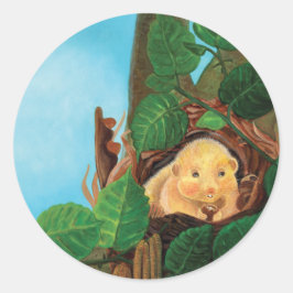 Pegatina Redonda Hazel dormouse comiendo avellanas