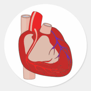 Pegatina Redonda Hearted grande