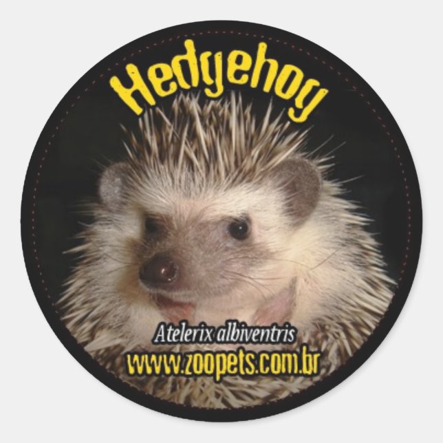 Pegatina Redonda hedgehog (Anverso)