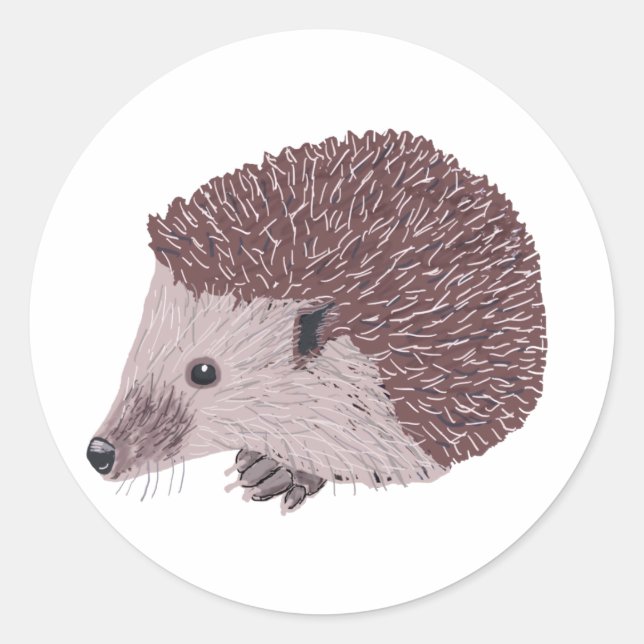 Pegatina Redonda Hedgehog (Anverso)