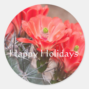 Pegatina Redonda Hedgehog Cactus, Felices Fiestas