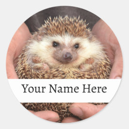 Pegatina Redonda Hedgehog en mano Foto