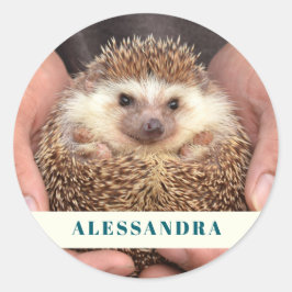 Pegatina Redonda Hedgehog en mano Foto