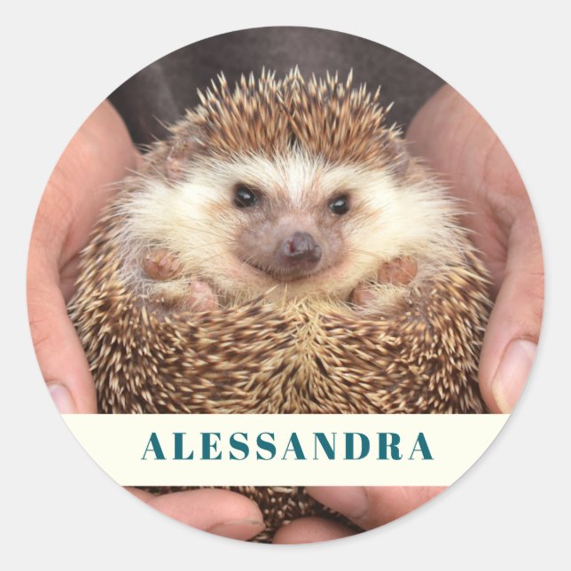 Pegatina Redonda Hedgehog en mano Foto (Anverso)