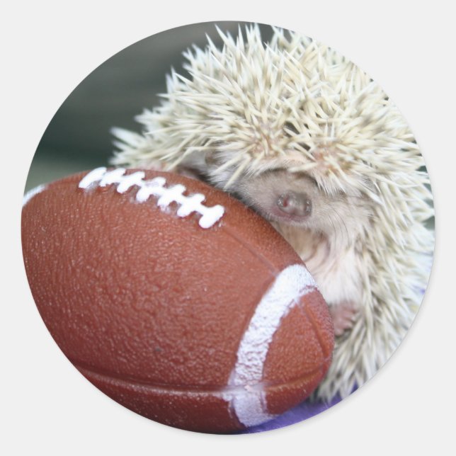 Pegatina Redonda Hedgehog Football (Anverso)