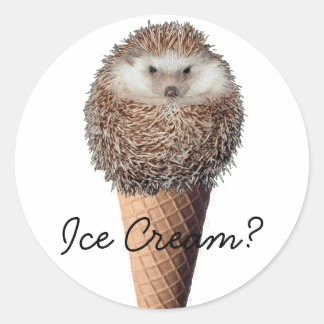 Pegatina Redonda Hedgehog Ice Cream