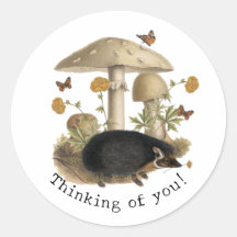 Hedgehog Mushroom Woodland