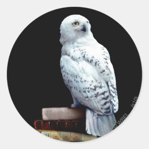 Pegatina Redonda Hedwig en libros