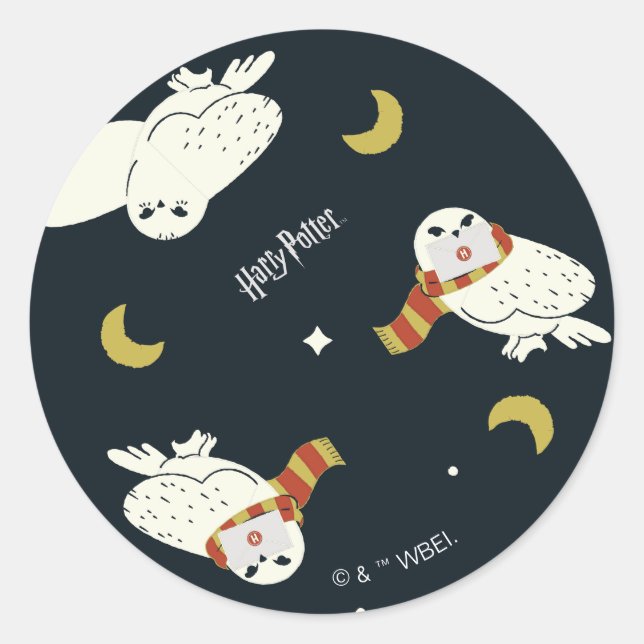 Pegatina Redonda Hedwig Nighttime Moonlight Pattern (Anverso)