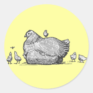 Pegatina Redonda Hen y Chicks