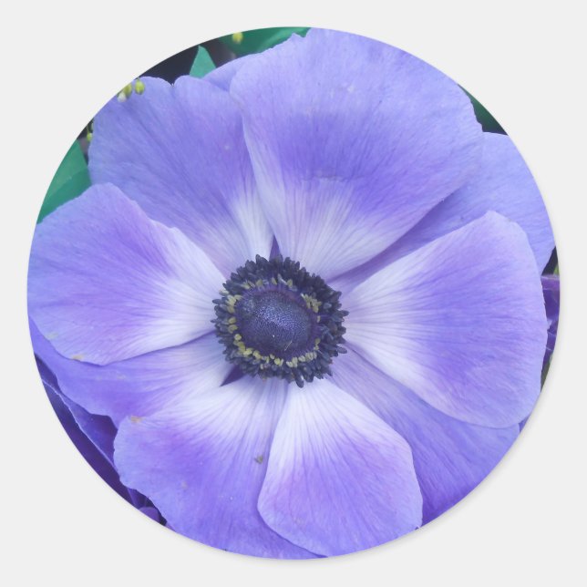 Pegatina Redonda Henrietta (Anverso)