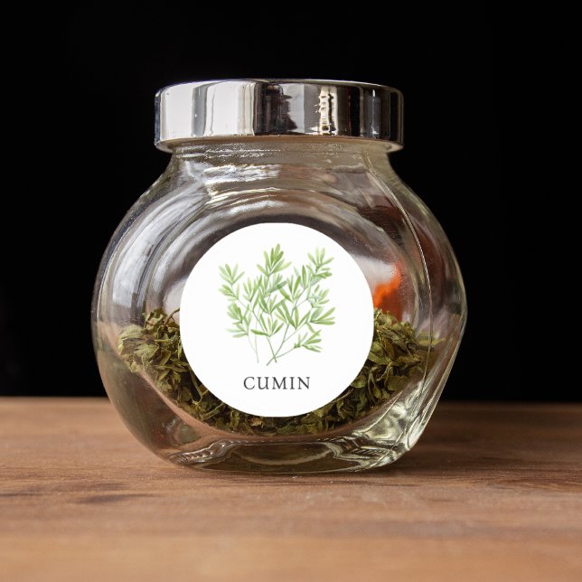 Pegatina Redonda Herb Cumin Watercolor (Herb Cumin Watercolor Classic Round Sticker)