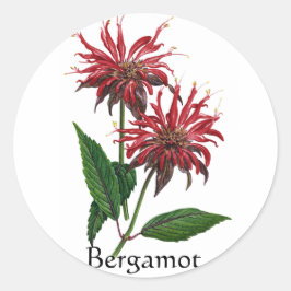 Pegatina Redonda Herb Garden Series - Bergamot