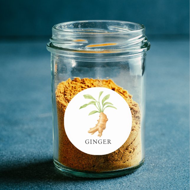 Pegatina Redonda Herb Ginger Watercolor (Herb Ginger Watercolor Classic Round Sticker)