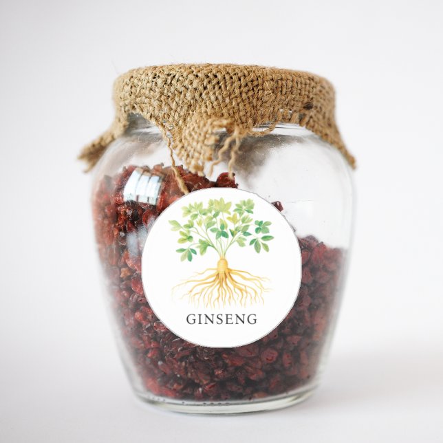 Pegatina Redonda Herb Ginseng Watercolor (Herb Ginseng Watercolor Classic Round Sticker)