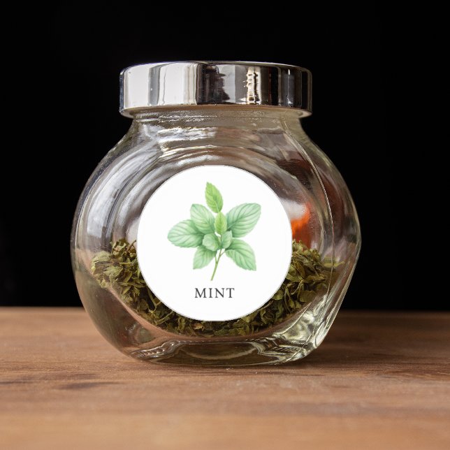 Pegatina Redonda Herb Mint Watercolor (Herb Mint Watercolor Classic Round Sticker)