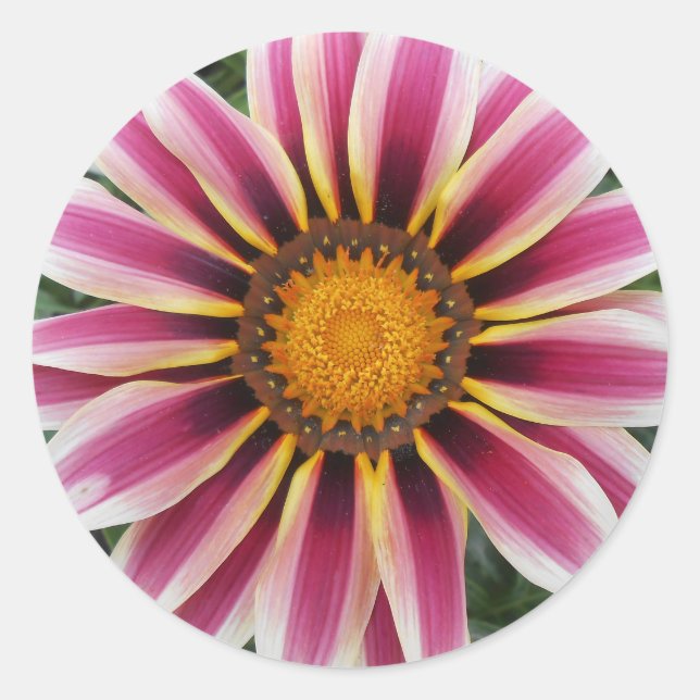 Pegatina Redonda Hereford (Anverso)