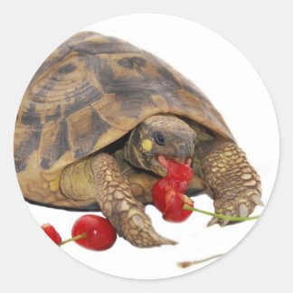 Pegatina Redonda Hermann Tortoise y Strawberries