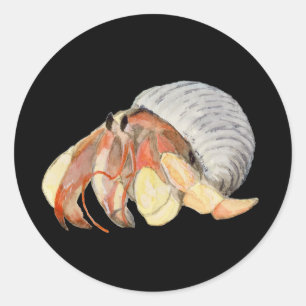 Pegatina Redonda Hermit Crab