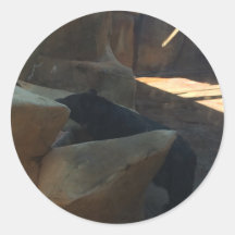 Hermosa escalada de oso negro