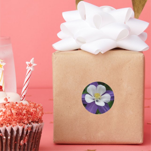 Pegatina Redonda Hermosa Flor de Aquilegia Morada Blanca (Fiesta)