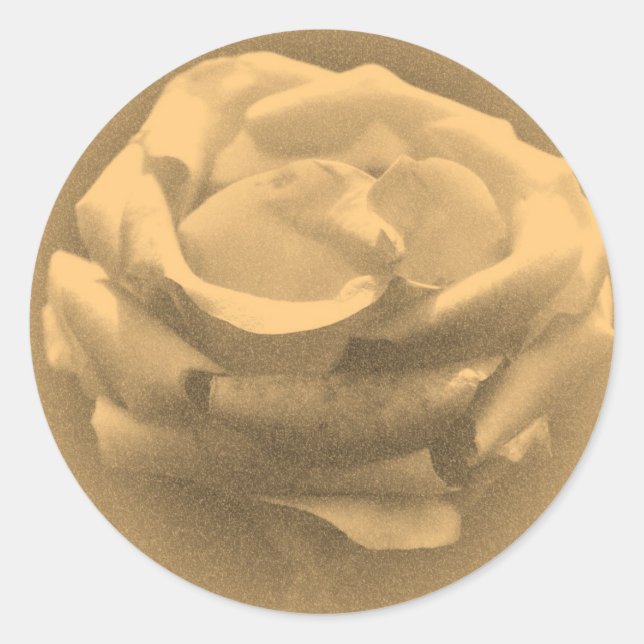 Pegatina Redonda Hermosa foto antigua de rosa de cerca (Anverso)