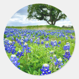 Pegatina Redonda Hermosa fotografía en Bluebonnets Texas