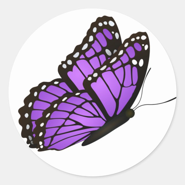 Pegatina Redonda Hermosa ilustración de mariposa Clásica Redonda St (Anverso)