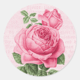 Pegatina Redonda Hermosa rosa rosa rosa rosa rosado