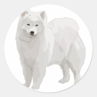 Pegatina Redonda Hermosa Samoyed