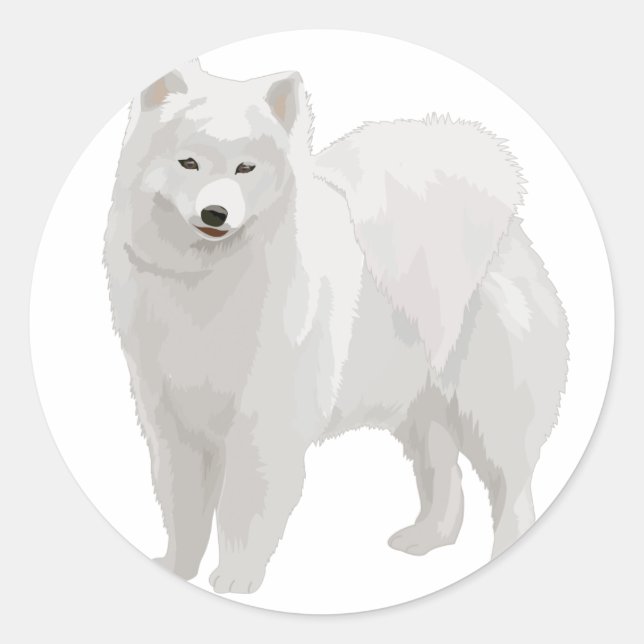 Pegatina Redonda Hermosa Samoyed (Anverso)