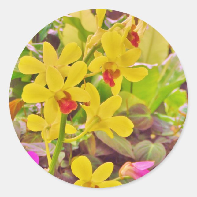 Pegatina Redonda Hermosas orquídeas amarillas de otoño (Anverso)