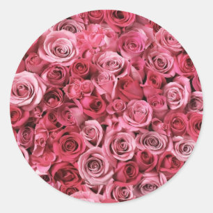 Pegatina Redonda Hermosas rosas rosas