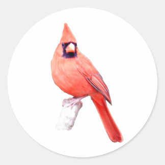 Pegatina Redonda Hermoso Cardenal